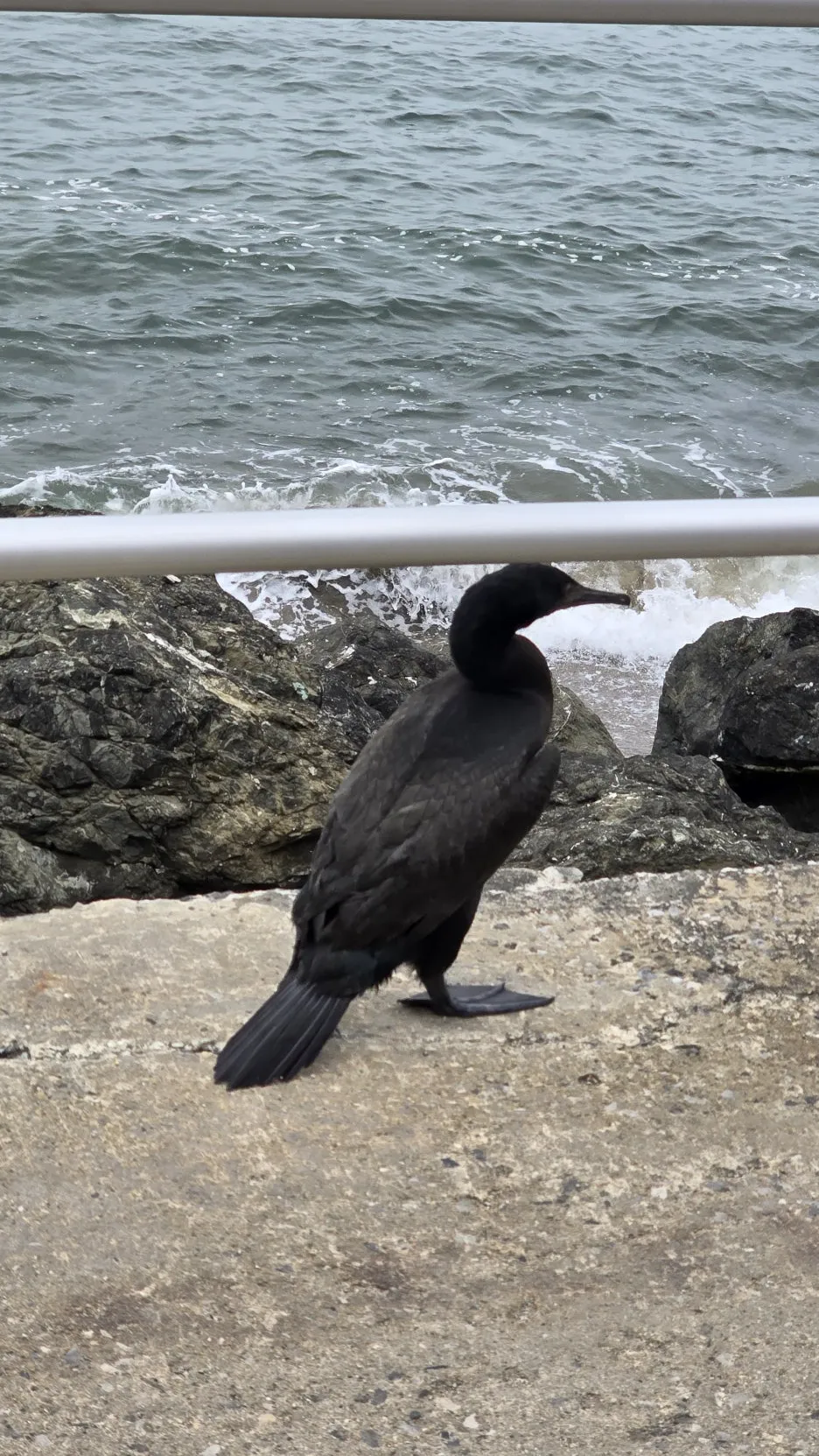 KakaoTalk_20250818_203107183_21.jpg?type=w1