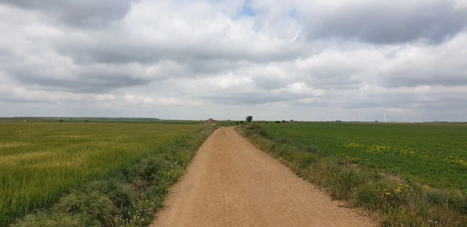 KakaoTalk_20220531_012108351_01.jpg?type=w1