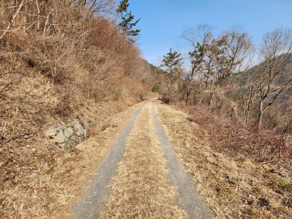 KakaoTalk_20230210_044009770_05.jpg?type=w1