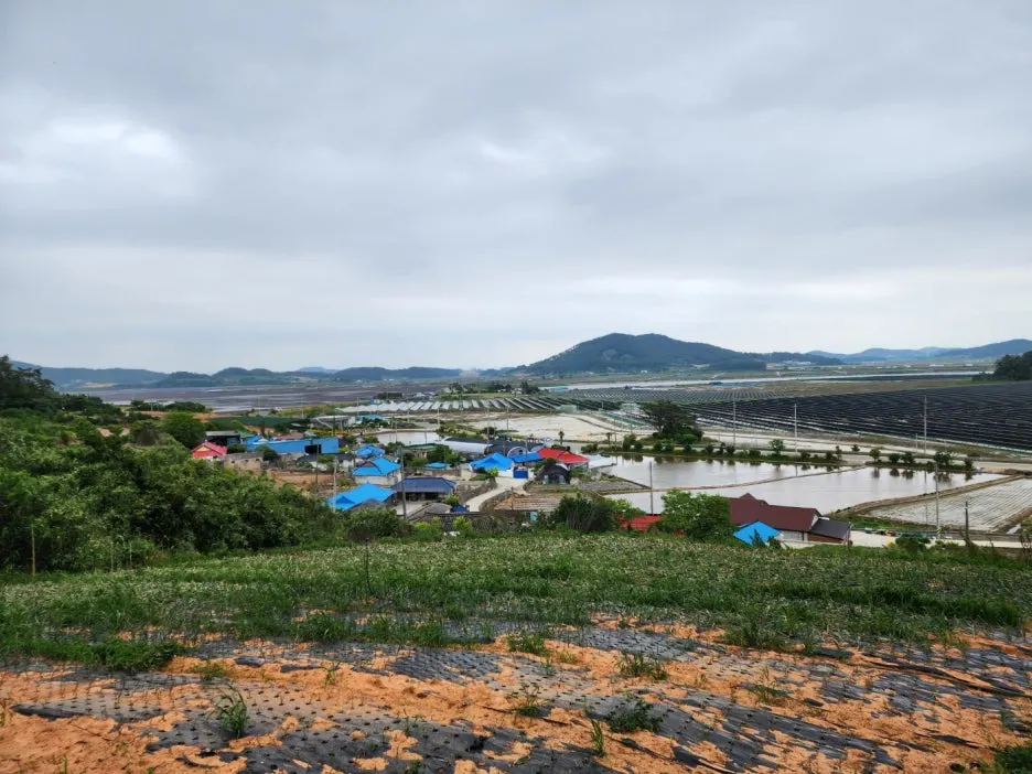 KakaoTalk_20240526_220649914_28.jpg?type=w1