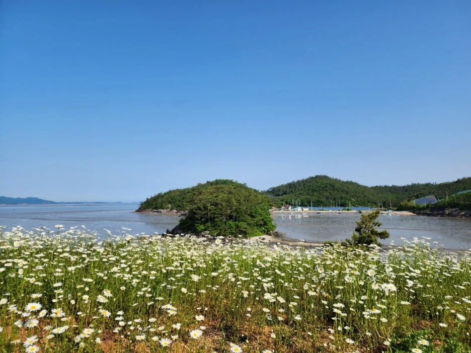 KakaoTalk_20240511_041926496_05.jpg?type=w1