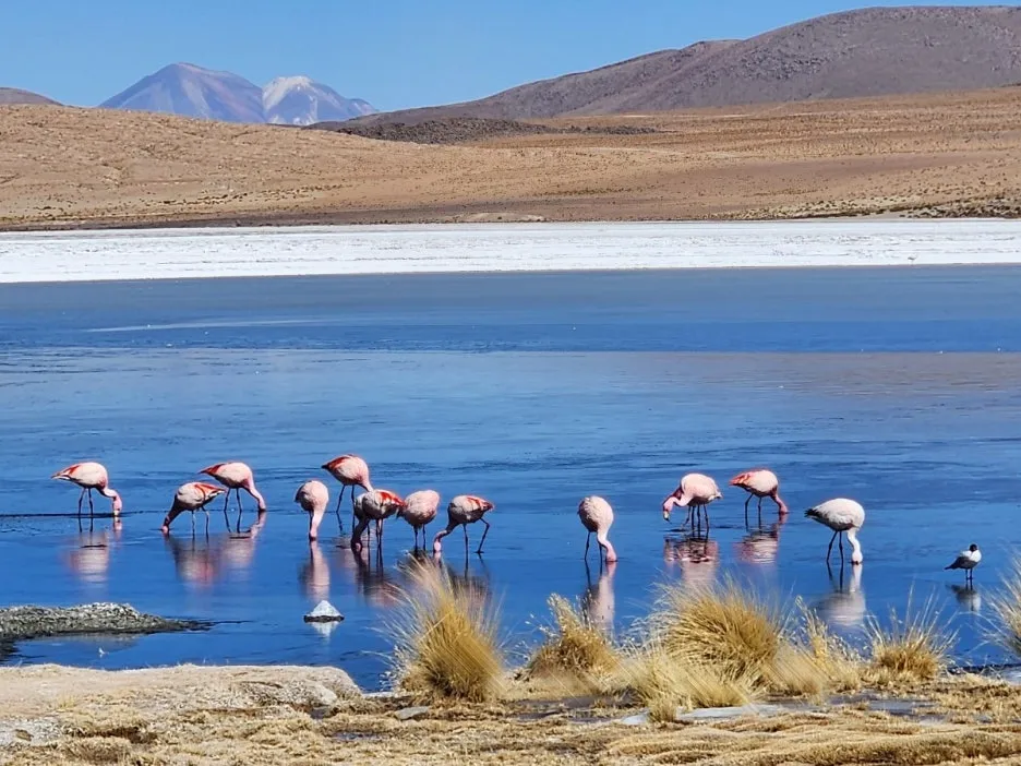 KakaoTalk_20240720_170505447_22.jpg?type=w1