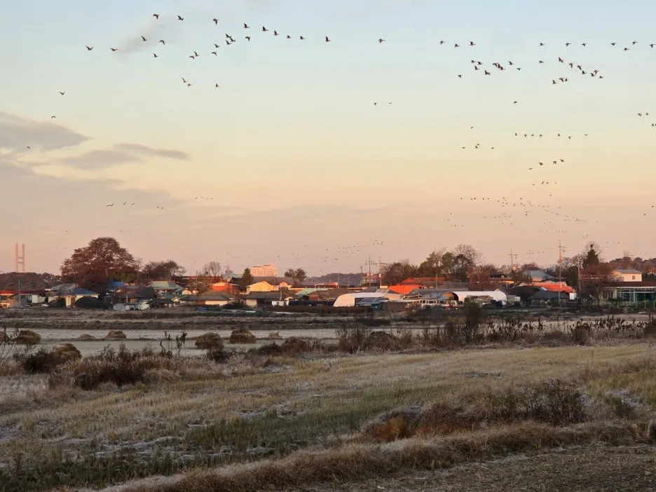 KakaoTalk_20241120_031352450_04.jpg?type=w1