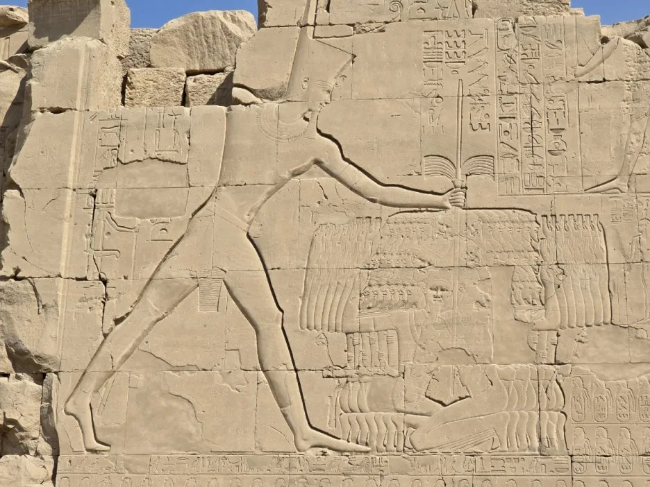 KakaoTalk_20250226_205846816.jpg?type=w1