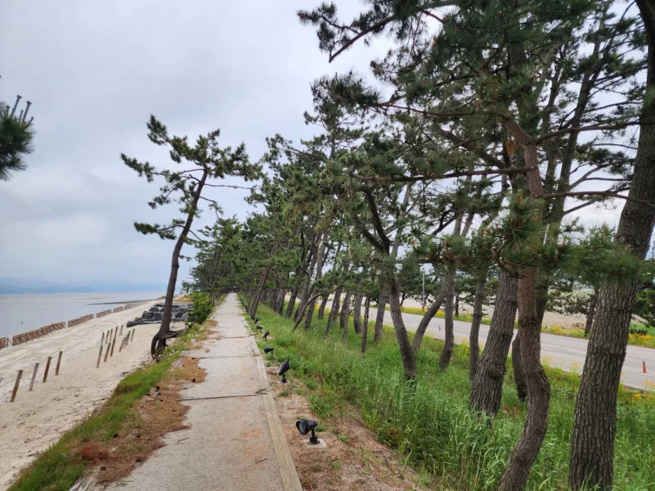 KakaoTalk_20240601_150104531_25.jpg?type=w1