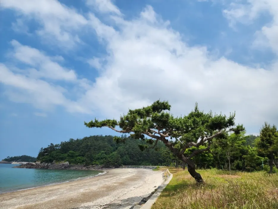 KakaoTalk_20240604_174216039_26.jpg?type=w1