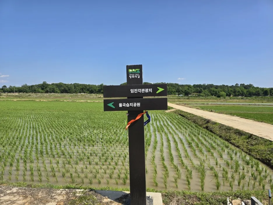 KakaoTalk_20250612_022141210_16.jpg?type=w1