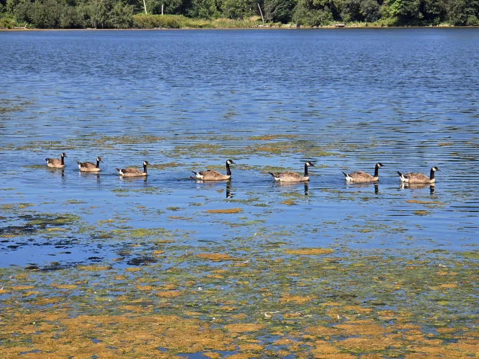 KakaoTalk_20250724_030728455_27.jpg?type=w1