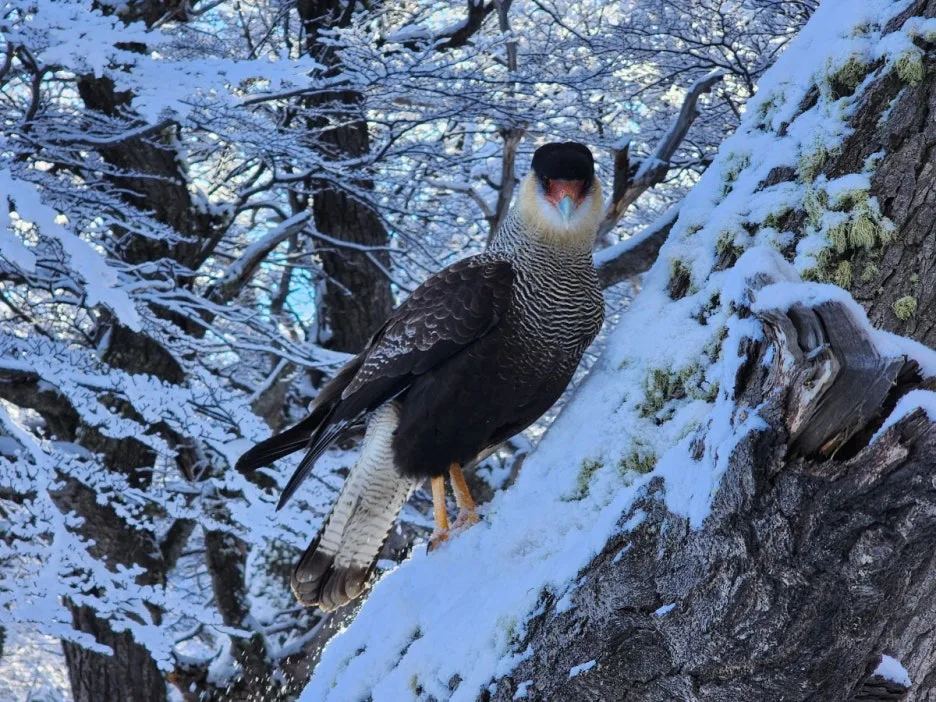 KakaoTalk_20240809_045156700_12.jpg?type=w1