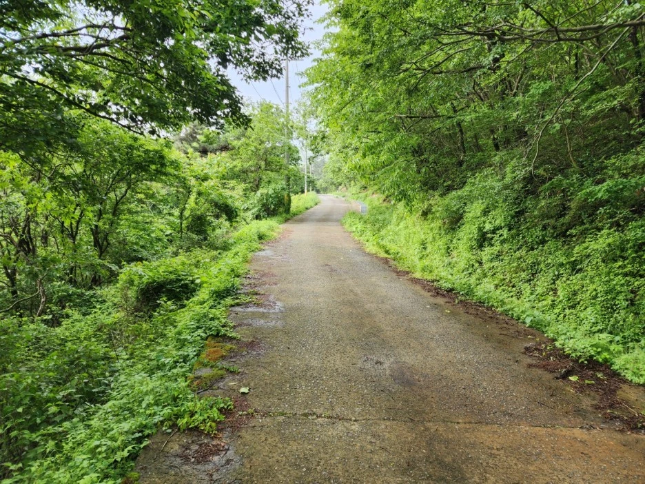 KakaoTalk_20240512_205403502_05.jpg?type=w1