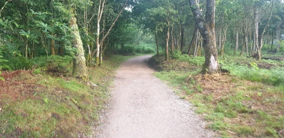 KakaoTalk_20220621_020741198_01.jpg?type=w1