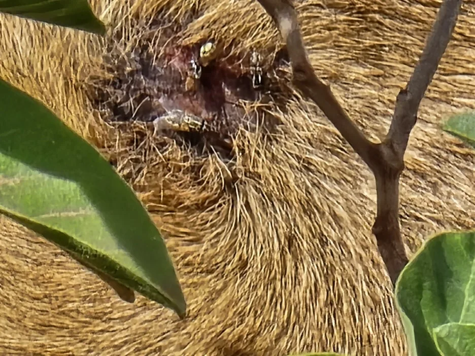 KakaoTalk_20250405_153555823_27.jpg?type=w1