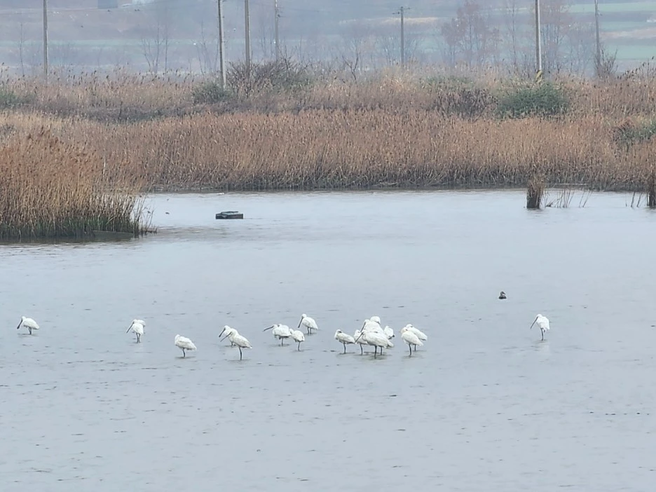 KakaoTalk_20230326_043739862_06.jpg?type=w1