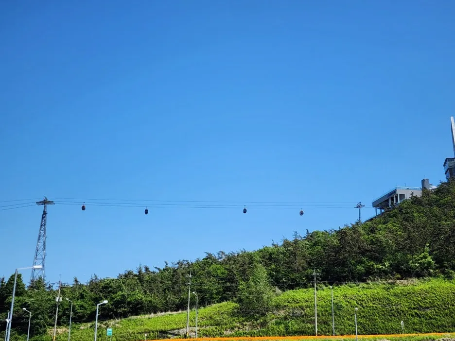 KakaoTalk_20240517_001534096_21.jpg?type=w1