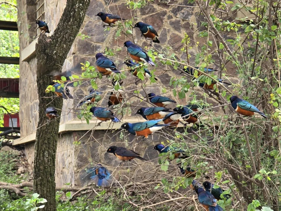 KakaoTalk_20250405_134443007_07.jpg?type=w1