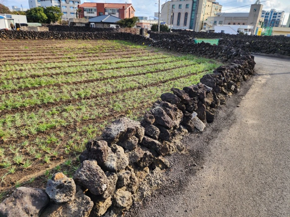 KakaoTalk_20221230_044226047_01.jpg?type=w1