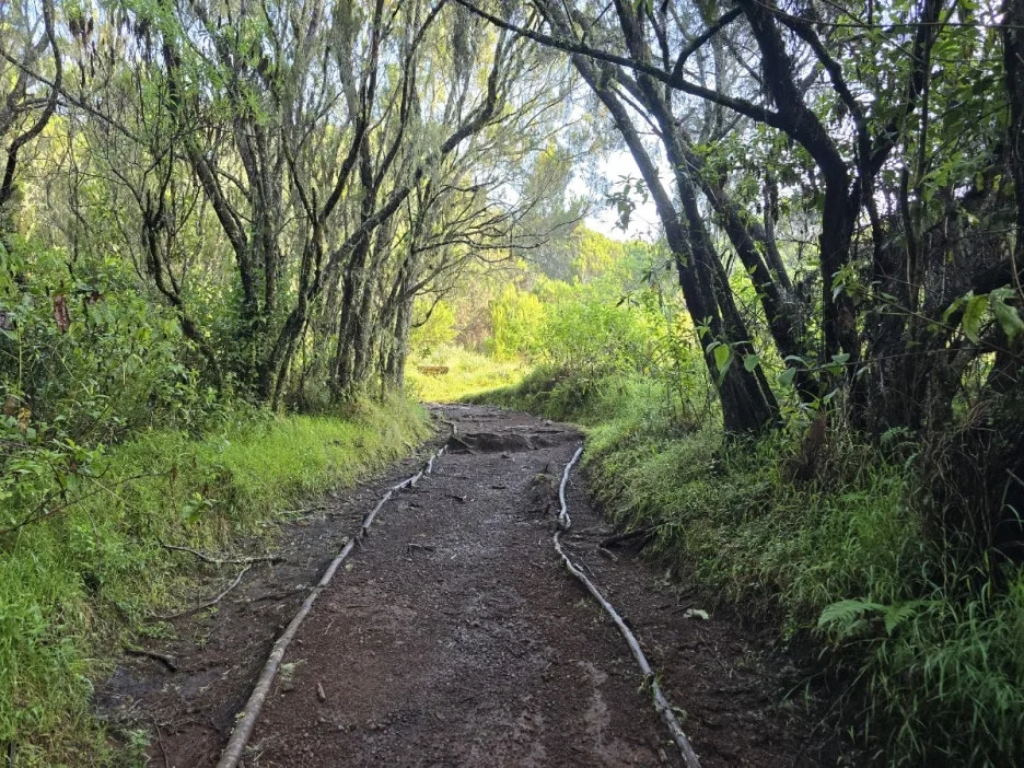 KakaoTalk_20250405_061148519_13.jpg?type=w1