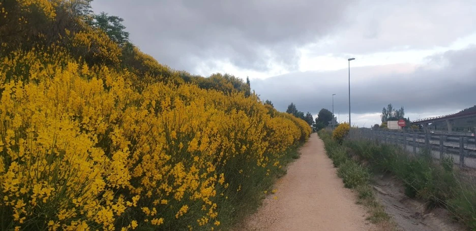 KakaoTalk_20220524_081743642_01.jpg?type=w1