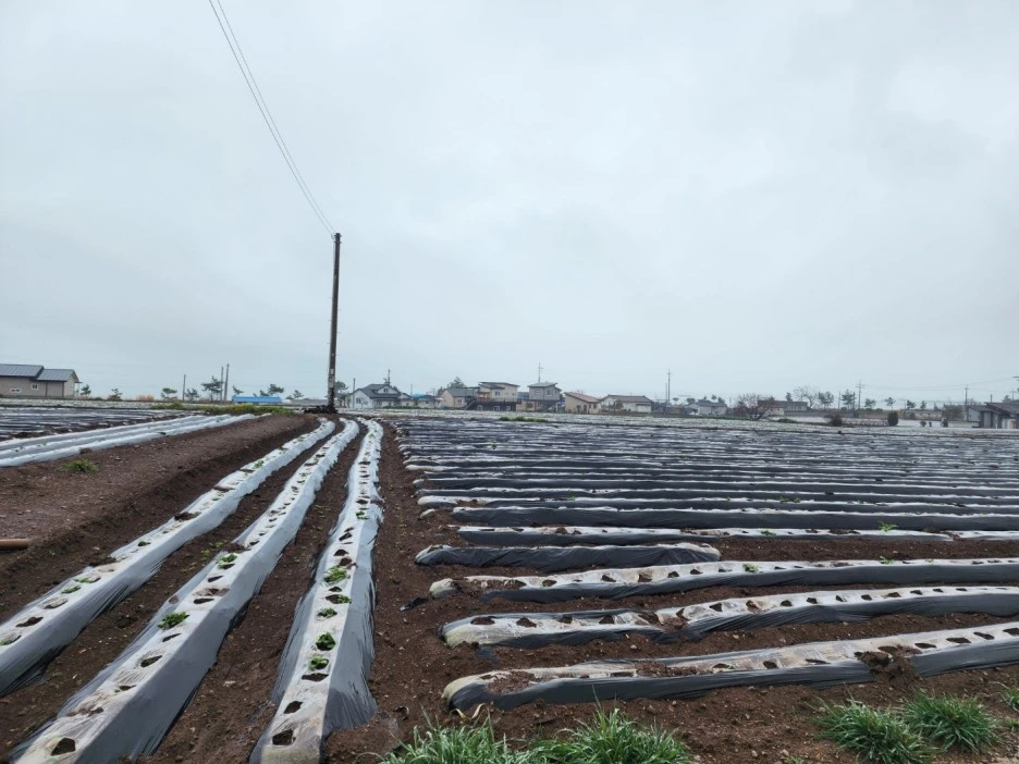 KakaoTalk_20230326_043739862_20.jpg?type=w1