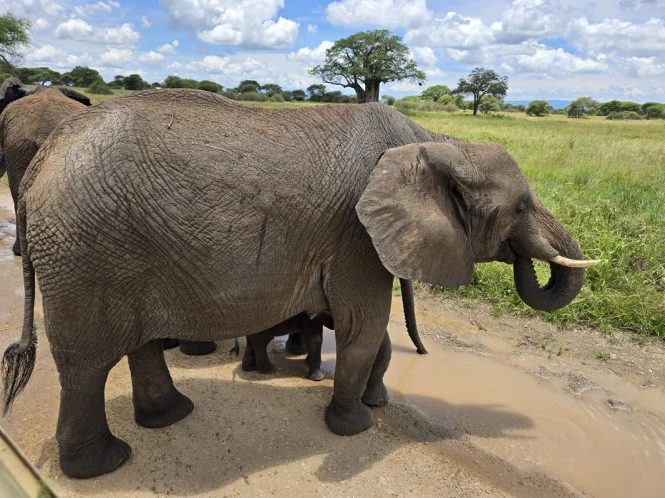 KakaoTalk_20250405_112215504_12.jpg?type=w1