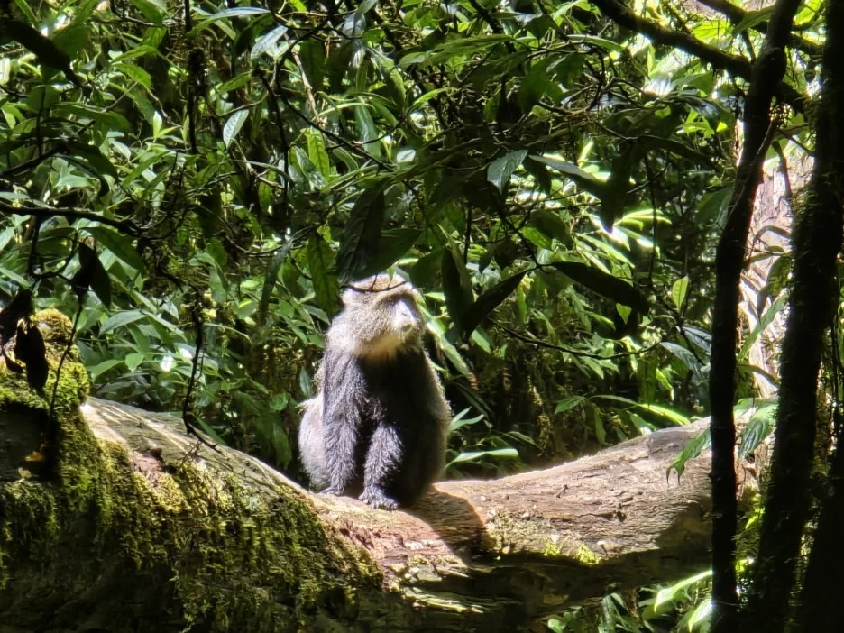 KakaoTalk_20250405_061148519_06.jpg?type=w1