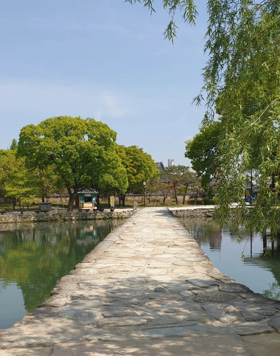 SE-5cbc81e2-b175-44fe-99ac-056d1865c1d2.jpg?type=w1