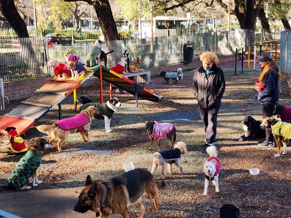 KakaoTalk_20240814_085315055_10.jpg?type=w1