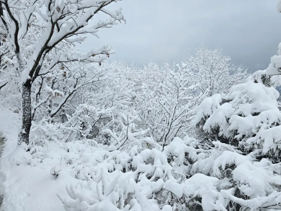 KakaoTalk_20241129_050938052_25.jpg?type=w1