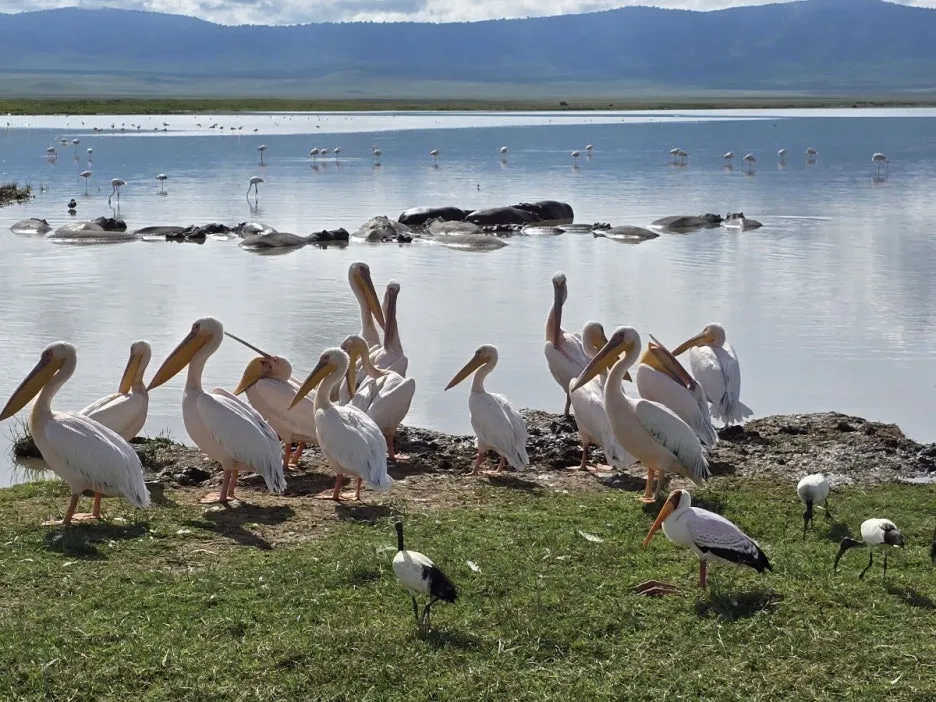 KakaoTalk_20250405_153555823_17.jpg?type=w1