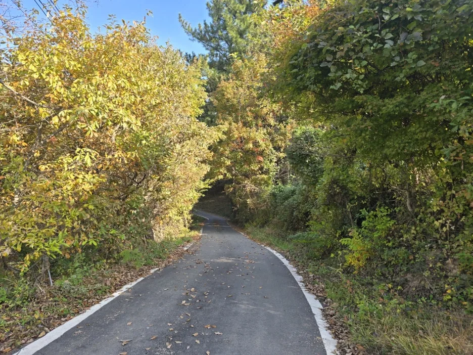 KakaoTalk_20241113_031257885_12.jpg?type=w1