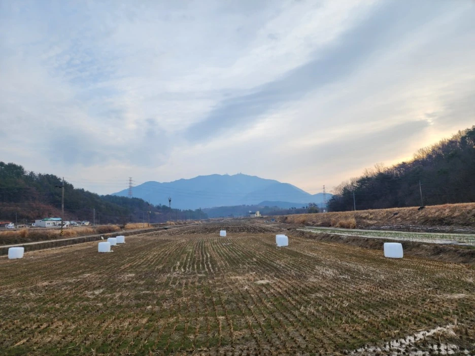 KakaoTalk_20230226_075912225_02.jpg?type=w1