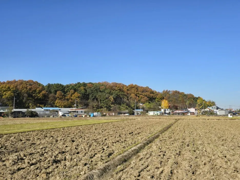 KakaoTalk_20241119_051244597_19.jpg?type=w1