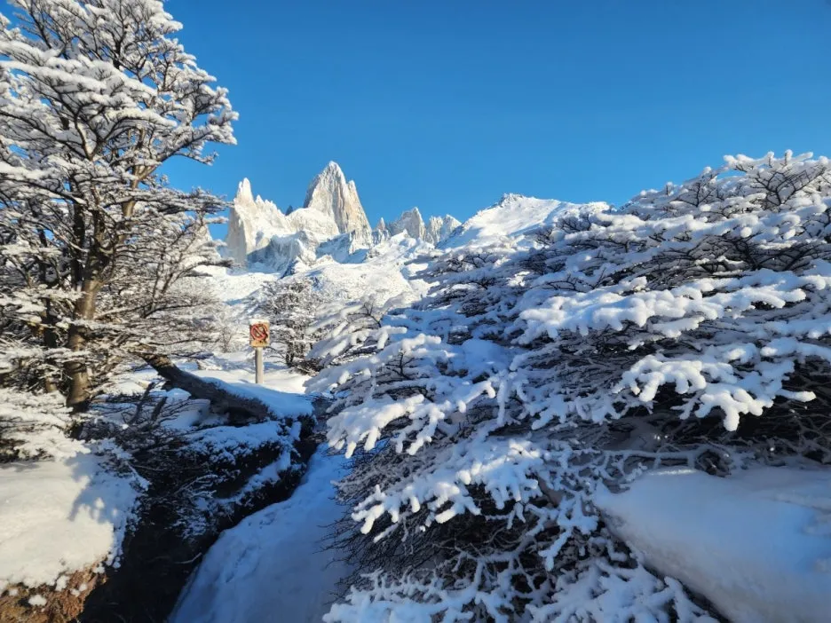 KakaoTalk_20240809_044830248_12.jpg?type=w1