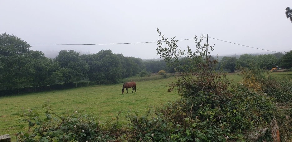 KakaoTalk_20220612_223542386_08.jpg?type=w1