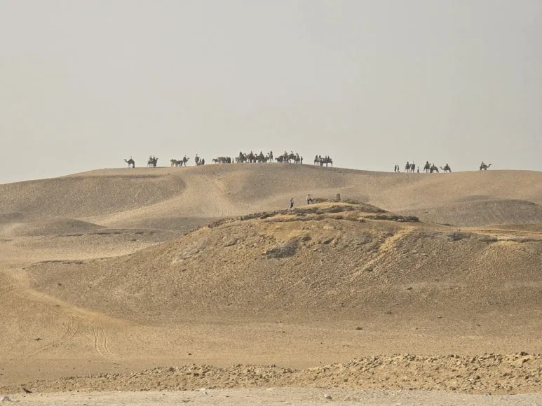 KakaoTalk_20250223_004108154_16.jpg?type=w773