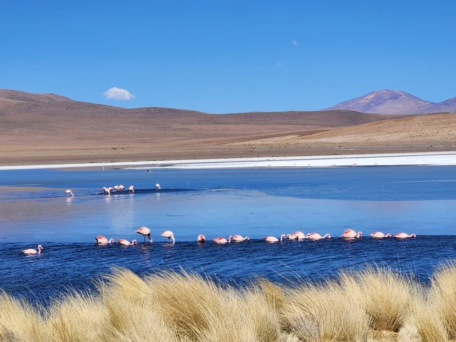 KakaoTalk_20240828_045631860_08.jpg?type=w1