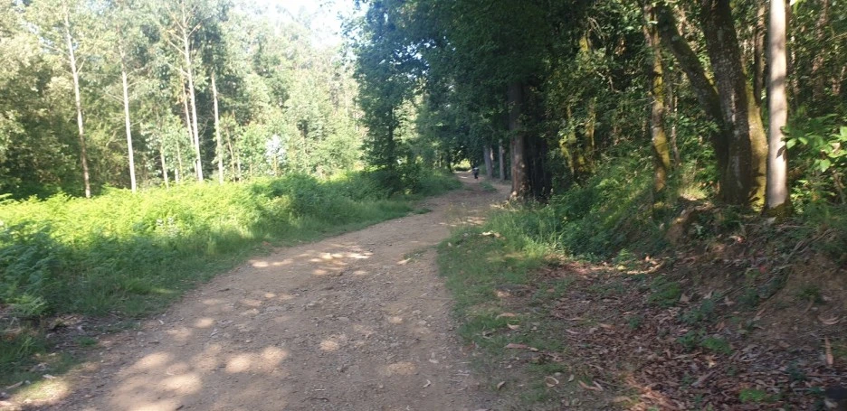 KakaoTalk_20220614_235316770_09.jpg?type=w1