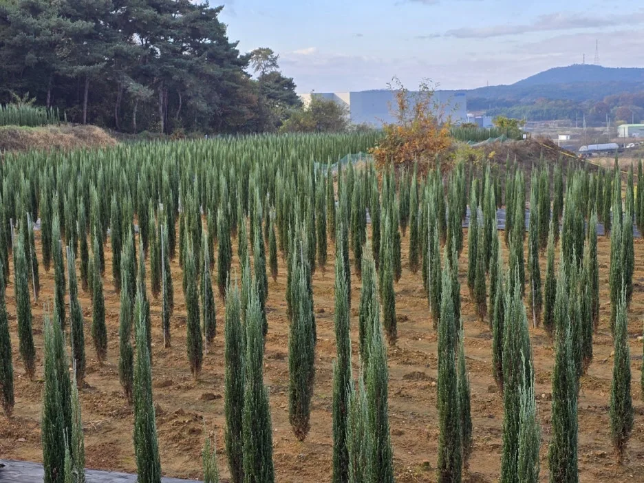 KakaoTalk_20241117_054428410_06.jpg?type=w1