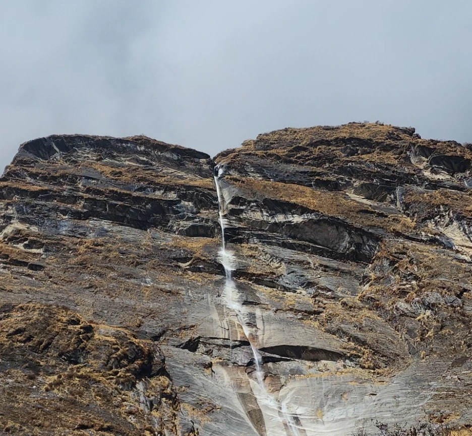 SE-206981d8-6349-4c9e-b745-87e43cde198e.jpg?type=w1