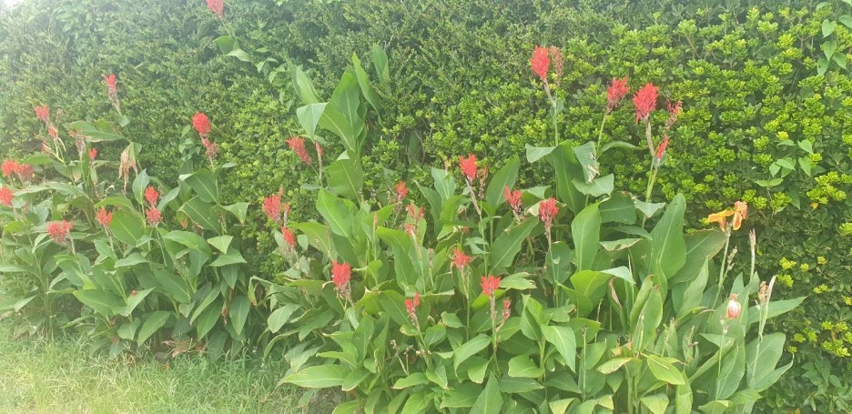 KakaoTalk_20220830_013333768_09.jpg?type=w1