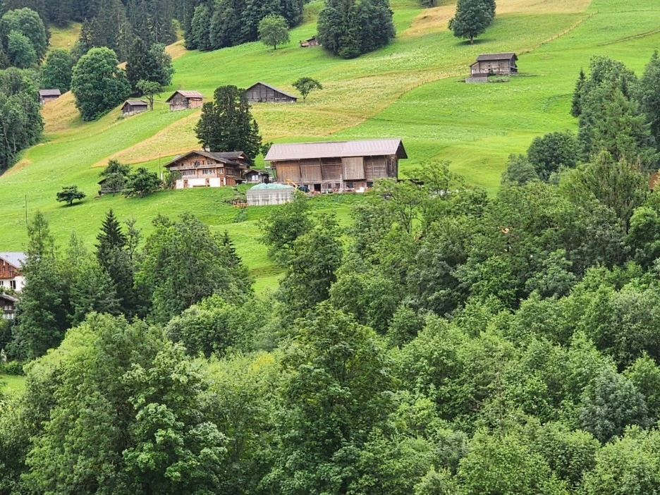 KakaoTalk_20230714_031600003_02.jpg?type=w1