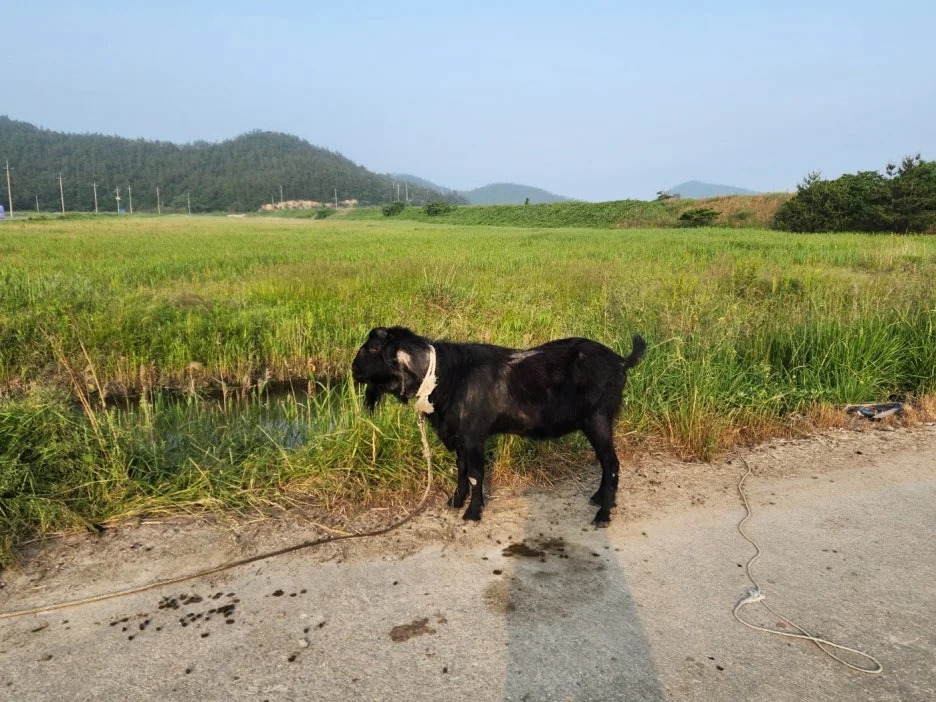 KakaoTalk_20240525_165017986_02.jpg?type=w1