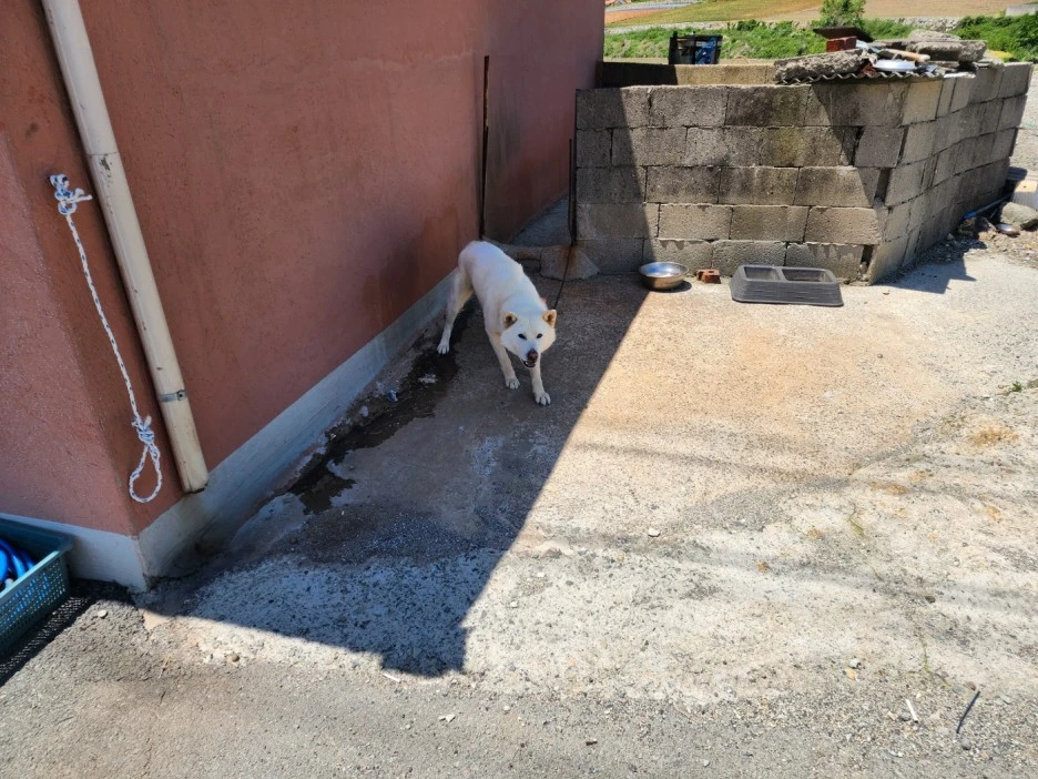 KakaoTalk_20240513_210116338_24.jpg?type=w1