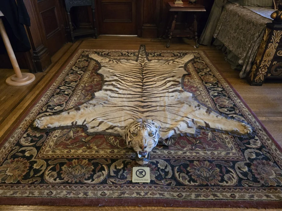 KakaoTalk_20250802_042702710_06.jpg?type=w1