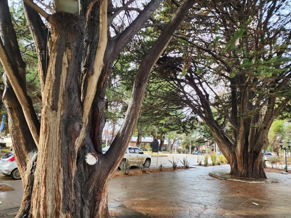 KakaoTalk_20240805_072017806.jpg?type=w1