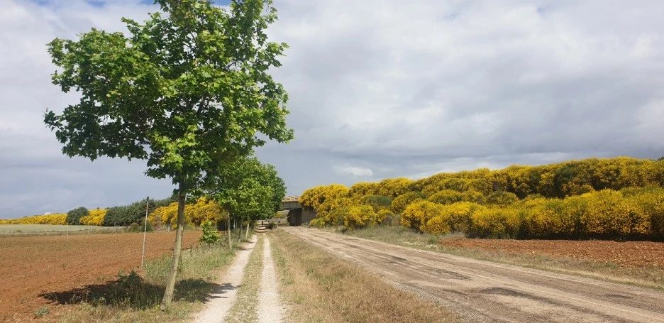 KakaoTalk_20220603_223121247_03.jpg?type=w1