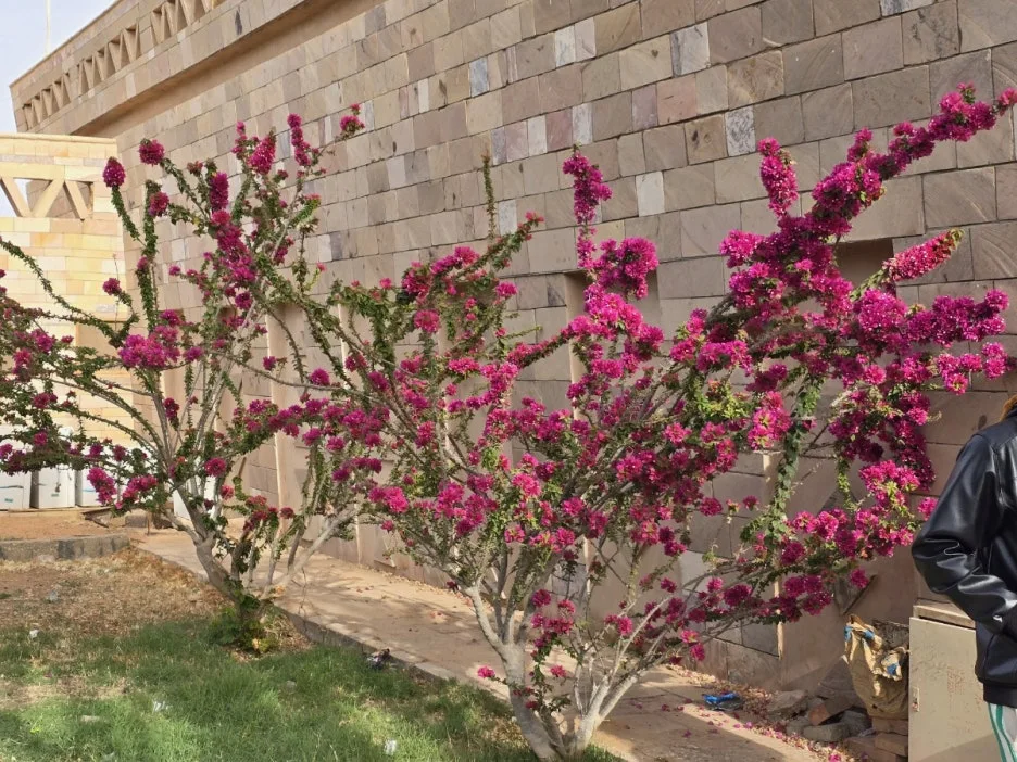 KakaoTalk_20250224_001118808_02.jpg?type=w1