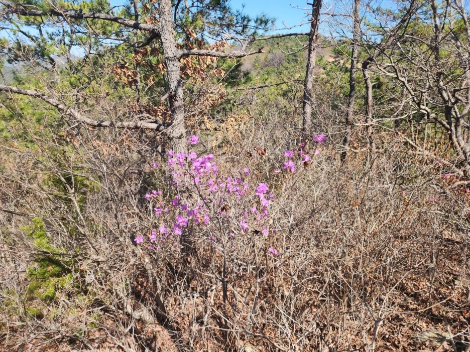 KakaoTalk_20230315_023309142_07.jpg?type=w1