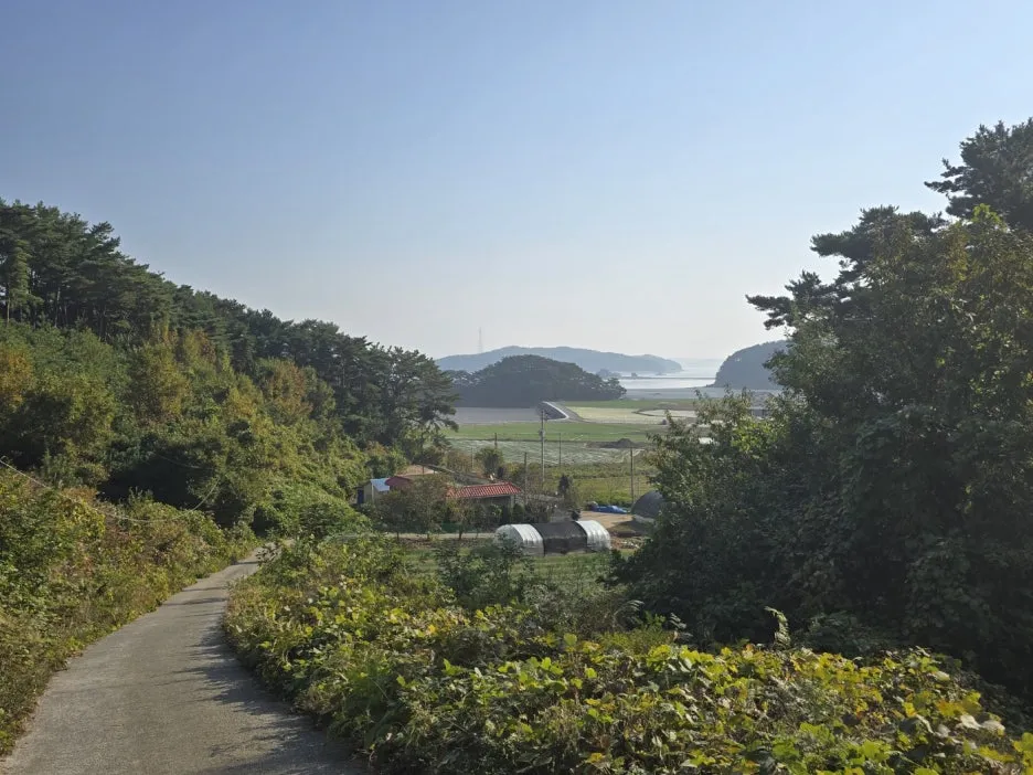 KakaoTalk_20241112_044854649_18.jpg?type=w1