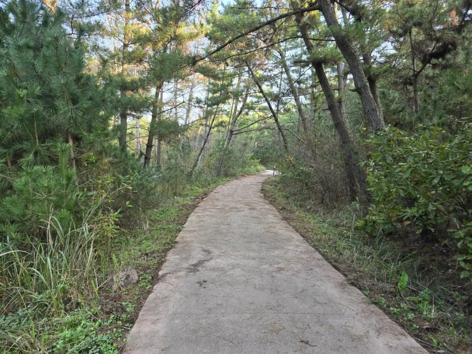 KakaoTalk_20241101_225213180_06.jpg?type=w1